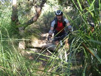 20060430-RedHill 039 
